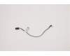 Lenovo CABLE Fru160mm Red logo cable_TCO8.0,RA pour Lenovo ThinkCentre Neo 50s Gen 3 (11SX)