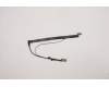 Lenovo CABLE FRU CABLE RGB CAMERA CABLE NO HPD pour Lenovo ThinkPad X13 Gen 2 (20XH/20XJ)