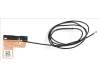 Acer ANTENNA.WLAN.MAIN pour Acer Aspire 5 (A517-53G)