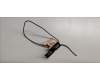 Acer ANTENNA.MAIN pour Acer Swift X 14 (SFX14-51G)