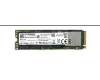 Acer KN.2560N.002 SSD.256GB.M2.NVME.2280