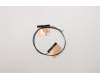 Lenovo ANTENNA FRU ANTENNA Antenna pour Lenovo Yoga 11e 6th Gen (20SE/20SF)