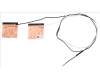 Acer ANTENNA.MAIN/AUX pour Acer Extensa 15 (EX215-35)