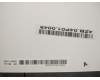 Lenovo 00UR192 14,WQHD,no-glare,TP,TPK+LGD