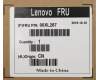 Lenovo CABLE Fru 200mm Rear USB2 LP cable pour Lenovo ThinkCentre M710T (10M9/10MA/10NB/10QK/10R8)