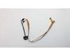 Lenovo CABLE FRU Coms cable-Ca&ALS BD&logo CBL pour Lenovo ThinkPad Yoga 370 (20JJ/20JH)
