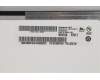 02DA381 Lenovo DISPLAY 14 FHD IPS AG narrow 250nit