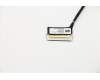 Lenovo CABLE eDP Cable,Amphenol pour Lenovo ThinkPad X390 (20SD/20SC)