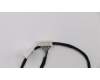 Lenovo CABLE WEBCAM_TACOMA pour Lenovo ThinkCentre E73z (10BD/10BL)