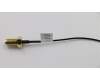 Lenovo CABLE Fru, 210mm SMA RF Cable_Tiny3 pour Lenovo ThinkCentre M900x (10LX/10LY/10M6)