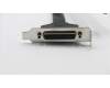Lenovo CABLE Fru LPT Cable 300mm LP pour Lenovo ThinkCentre M710q (10MS/10MR/10MQ)