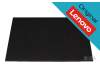 Original Lenovo IPS écran WUXGA mat 60Hz (Non-Touch) pour Lenovo ThinkPad E14 Gen 5 (21JK/21JL)