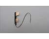 Lenovo 5A30Z88231 ANTENNA FRU ANTENNA Jing Intel 1.0