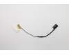 Lenovo 5C10G15008 CABLE LCD Cable C N20