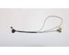 Lenovo CABLE EDP Cable Q 80SY pour Lenovo V310-15ISK (80SY)