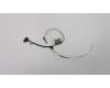 Lenovo 5C10S29922 CABLE LCD Cable H 81NE