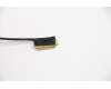 Lenovo CABLE Cable-Coax,LCD,ePrivacy pour Lenovo ThinkPad X1 Carbon 8th Gen (20UA/20U9)