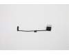 Lenovo 5C11C12504 CABLE H-CONN SET 1VU M/B-LCD W/FPC eP