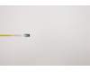 Lenovo 5C50S73049 CARDPOP FRU CARDPOP LID Board