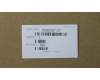 Lenovo 5CB0S57327 COVER Lower Case C 81HG