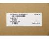 Lenovo 5CB0W43413 COVER Upper case ASM_UK L81VBGYIMRD