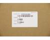 Lenovo 5CB0W43895 COVER Lower Case W 81VS PG