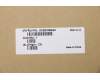 Lenovo 5CB0X56643 COVER Upper Case ASM_UKR L81WAFPPGYDIS