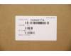 Lenovo 5CB0Z27774 COVER Lower Case B 20TG IG