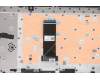 Lenovo 5CB1C15056 COVER Upper Case ASM_SPA L81X8 FPABDIS