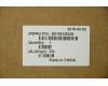 Lenovo 5D10M36226 DISPLAY LCD Module B 80U3 TN