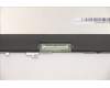 Lenovo 5D10S39701 DISPLAY LCD MODULE H 82CY HPW