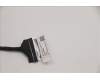 Lenovo 5D10S39731 DISPLAY LCD MODULE H82QQYogaUmaSG 60HZ