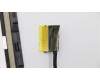 Lenovo 5D10S73325 DISPLAY LCD MODULE B 81HY