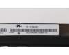 Lenovo 5D10S73326 Lenovo LCD Module, 15.6\", FHD, Touch, Anti-Glare, IPS, 300nit, 72%NTSC