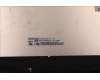 Lenovo 5D11C22964 DISPLAY FRU BO NE156QUM-N6C V8.1 UHDI AG