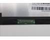 Lenovo 5D11C95951 Lenovo LCD Module, 14.5\", WQXGA, Non_Touch, Anti-Glare, IPS, 400nit, 100%SRGB, Color Calibration