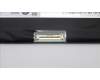 Lenovo 5D11D69020 DISPLAY FRU AU B156HAK02.H 0A FHDI AG