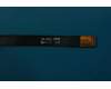 Lenovo 5F78C06098 PB2-650 Main FPC&*713300097011 CS