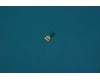 Lenovo 5F78C06228 PB2-670 3rd MIC FPC&*66800892 CS