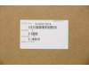 Lenovo 5H40S72914 HEATSINK UMA THM_AVC+AVC LAR-1 CS AVC
