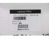 Lenovo MECH_ASM Top cvr P330 OEM,C2,AVC pour Lenovo ThinkStation P330 Tiny (30D7)