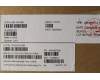 Lenovo 5M11C43260 MECH_ASM KB C EUROENG(TSG)PT FP US BK