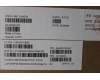 Lenovo 5M11L64234 MECH_ASM KBD W C HBW BKLT CHY WW US BK