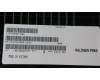 Lenovo 5M30Z71688 MEMORY UDIMM,32GB, DDR5,4800 ,Samsung