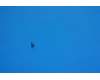 Lenovo 5M88C02830 Screw M14-40&*46106083 CS