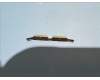 Lenovo 5MO8C30927 TB311 Moto_Volume_key&*5040AA001158 CS