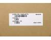 Lenovo 5N20V43770 NB_KYB CMFL-CS20,BK-BL,CHY,FRA