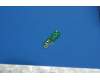 Lenovo 5P68C09358 TB-7304I ANTB&*HQ31206835000 CS
