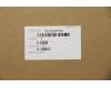 Lenovo 5S10S35130 SCREW SCREW L 81MV 2.0D 2.5L K 4.6D 0.5T