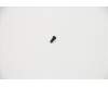 Lenovo 5S10S35136 SCREW Screw L 81TC 2D6LK3.5D0.3TNL*B